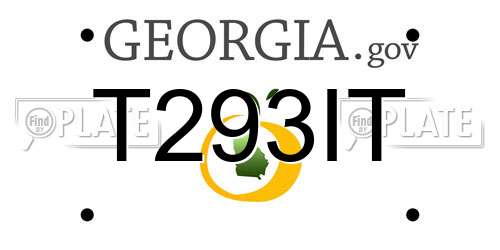 T293IT Georgia License Plate