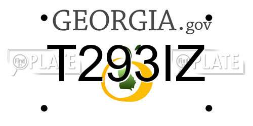 T293IZ Georgia License Plate