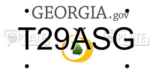T29ASG Georgia License Plate