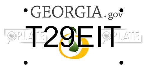 T29EIT Georgia License Plate