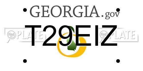 T29EIZ Georgia License Plate