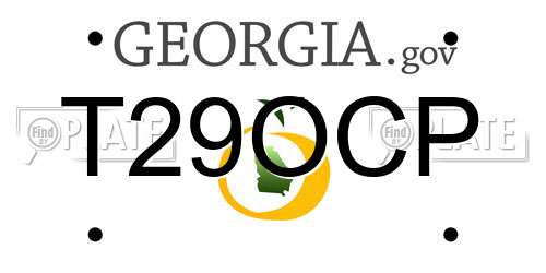 T29OCP Georgia License Plate