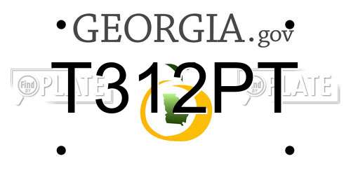 T312PT Georgia License Plate
