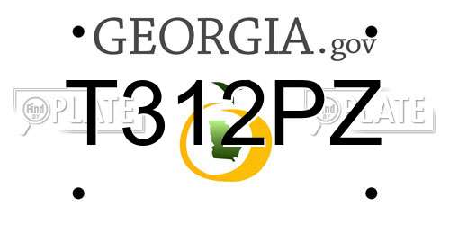 T312PZ Georgia License Plate