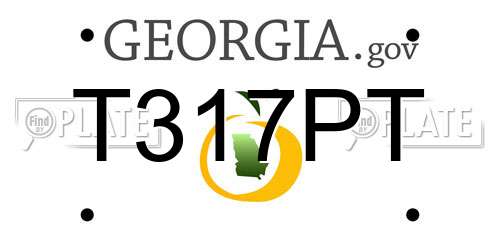 T317PT Georgia License Plate