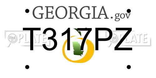 T317PZ Georgia License Plate