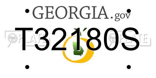 T32180S Georgia License Plate