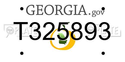 T325893 Georgia License Plate