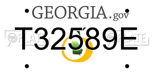 T32589E Georgia License Plate