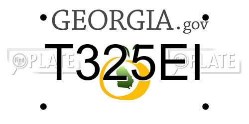 T325EI Georgia License Plate