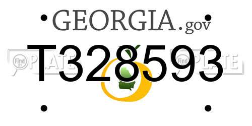 T328593 Georgia License Plate