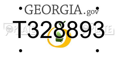 T328893 Georgia License Plate