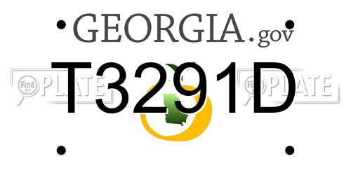T3291D Georgia License Plate