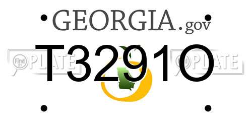 T3291O Georgia License Plate