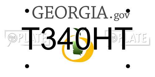 T340HT Georgia License Plate