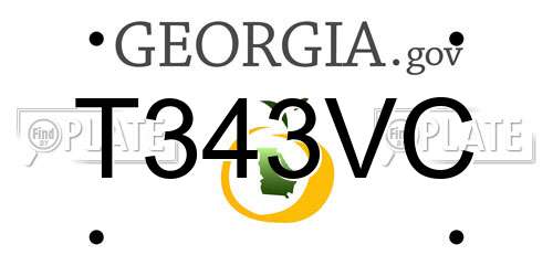 T343VC Georgia License Plate