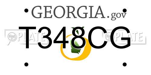 T348CG Georgia License Plate