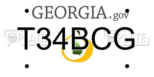 T34BCG Georgia License Plate