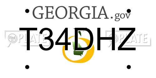T34DHZ Georgia License Plate