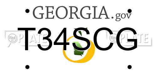 T34SCG Georgia License Plate