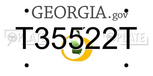 T35522T Georgia License Plate
