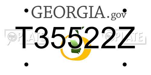 T35522Z Georgia License Plate