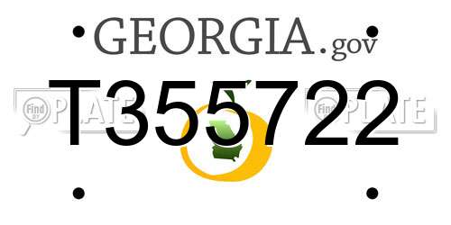 T355722 Georgia License Plate