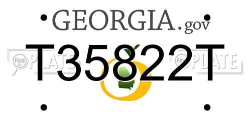 T35822T Georgia License Plate