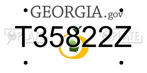 T35822Z Georgia License Plate