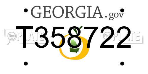 T358722 Georgia License Plate