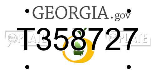 T358727 Georgia License Plate