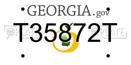T35872T Georgia License Plate