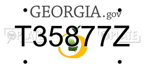 T35877Z Georgia License Plate