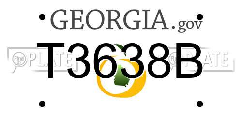 T3638B Georgia License Plate