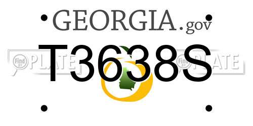 T3638S Georgia License Plate