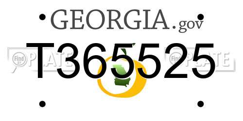 T365525 Georgia License Plate