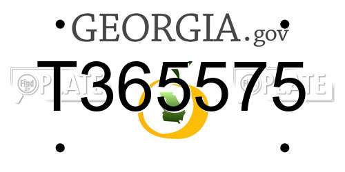 T365575 Georgia License Plate