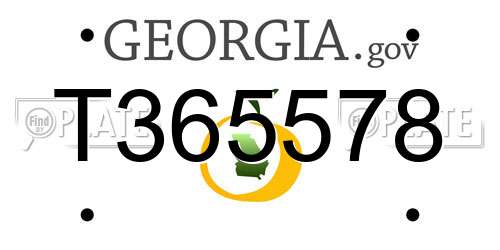 T365578 Georgia License Plate