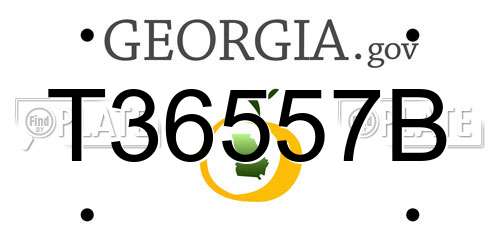 T36557B Georgia License Plate