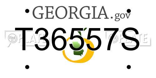 T36557S Georgia License Plate