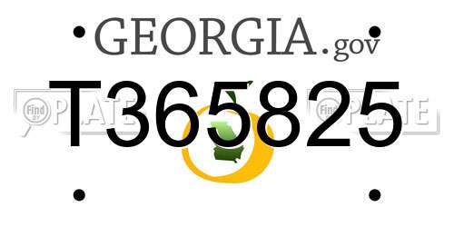 T365825 Georgia License Plate