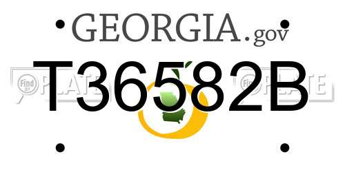 T36582B Georgia License Plate