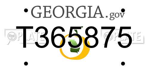 T365875 Georgia License Plate