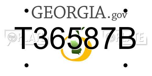 T36587B Georgia License Plate