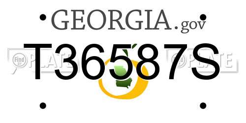 T36587S Georgia License Plate