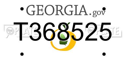 T368525 Georgia License Plate