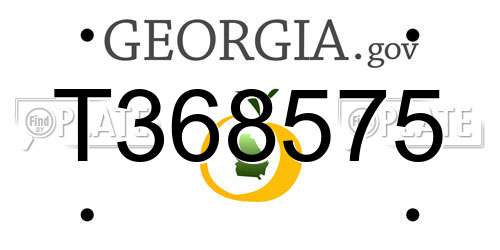 T368575 Georgia License Plate