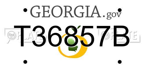 T36857B Georgia License Plate