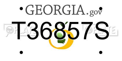 T36857S Georgia License Plate