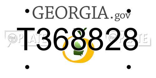 T368828 Georgia License Plate